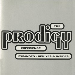 Experience: Expanded