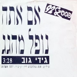 אם אתה נופל מהגג (פסטיגל 92)