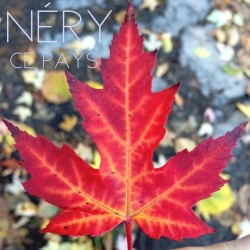 Ce pays (Québec en hiver)