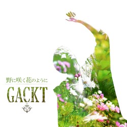 野に咲く花のように (feat. K) [LAST SONGS LIVE ver.]