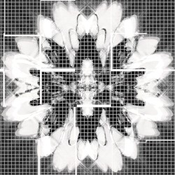 Photon Smasher / Warp Drive 0459