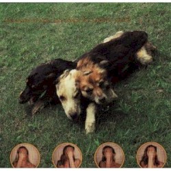 Ten Songs for Another World