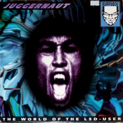 The World of the LSD-User