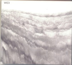 WE3