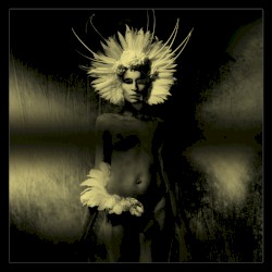 Where Did the Night Fall: Another Night Out