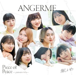 悔しいわ / Piece of Peace〜しあわせのパズル〜