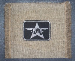 Years of Lightning, Day of Drums / The Partisan and His Dog