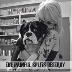 Max Bemis & The Painful Splits Destroy