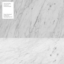 The Everyday Headnod (Instrumentals)