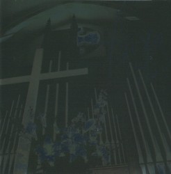 Lost in Blue