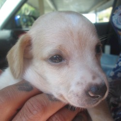 Welcome Home Tator~!