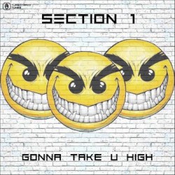 Gonna Take U High