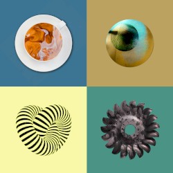 Circulate