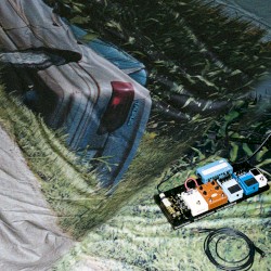 The Sunset Violent (Live in Heidelberg)