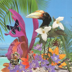 Adventures on the Floating Island