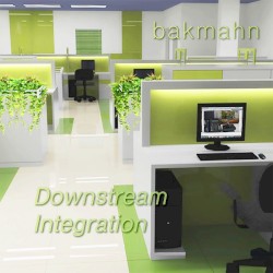 Downstream Integration