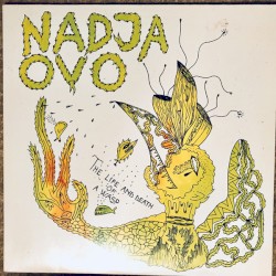 The Life and Death of a Wasp