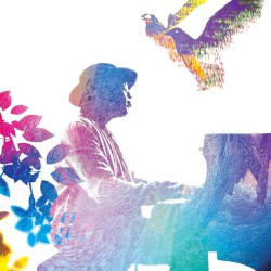 Bluebird (Solo Piano Version)