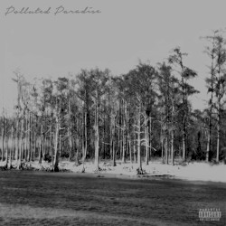 Polluted Paradise