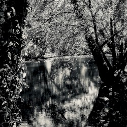 Mired in Muddy Banks