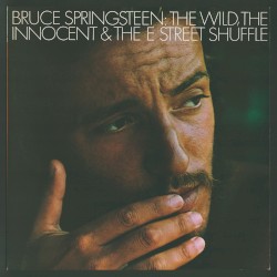 The Wild, the Innocent & The E Street Shuffle