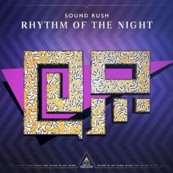Rhythm of the Night