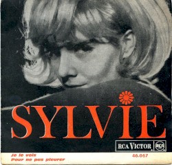 Je le vois / Pour ne pas pleurer