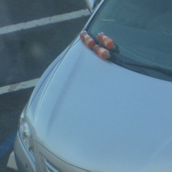 A Casino Resort in Nice, CA (Morning)