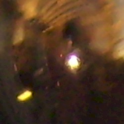 space monkey serenade