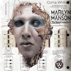 The Remix Collection