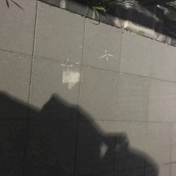 灰という日
