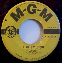 A Red Hot Needle / Trouble, Trouble Blues