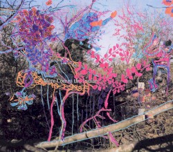 Here Comes the Indian