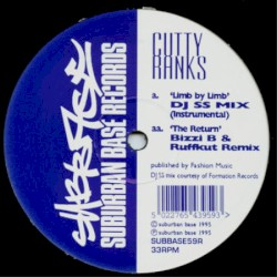 Remixes