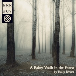 A Rainy Walk in the Forest