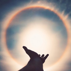 Christ Consciousness