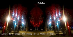 A World of Light