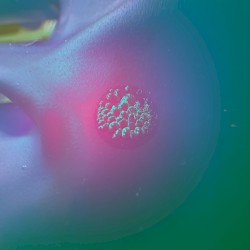 Tourne la tête par là !