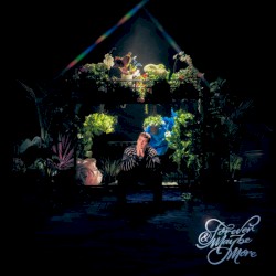 Forever & Maybe More