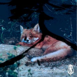 My Dreaming Fox Has Left Me