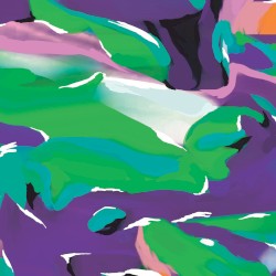 Birds Of Paradise (Remixes)