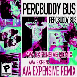 PERCBUDDY BUS (remix)