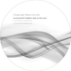 Environmental Radiation Dose On The Moon