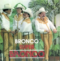 Súper bronco