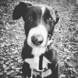 It's in the Eyes That Shines the Kingdom