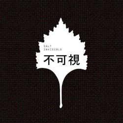 Invisible