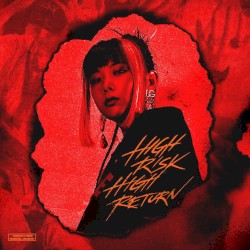 HIGH RISK HIGH RETURN