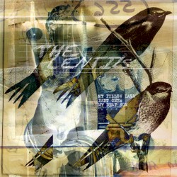 My Pillow Lava Part One: My Deaf Son