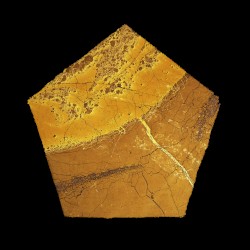 Resilience Interlude