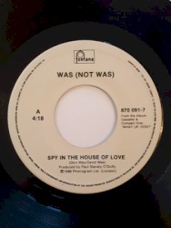 Spy in the House of Love